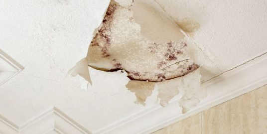 Seller's Disclosure - Tammy James Realtor Kingwood TX