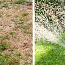 15 Lawn Care Tips For Survival During A Texas Drought